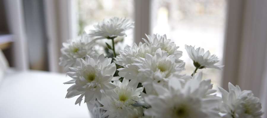 Rechtsanwaltskanzlei Braun-Ott